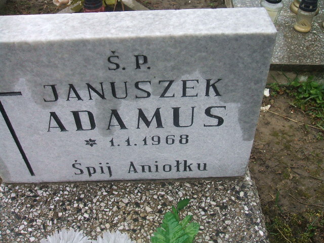 Janusz Adamus Kęty Gmina - Grobonet - Wyszukiwarka osób pochowanych