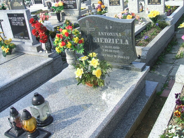 Grób Antonina Niedziela