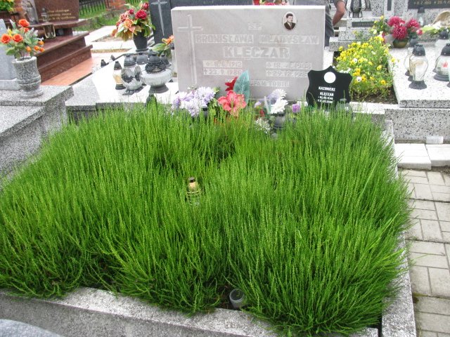 Grób Kazimierz Klęczar